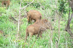 0370-Reis Zuid-Afrika2007